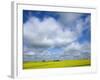 Field of Canola Near Washburn, North Dakota, United States of America, North America-Richard Cummins-Framed Photographic Print