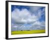 Field of Canola Near Washburn, North Dakota, United States of America, North America-Richard Cummins-Framed Photographic Print