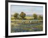 Field of Cattle I-Tim O'toole-Framed Art Print