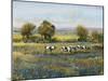 Field of Cattle I-Tim O'toole-Mounted Art Print