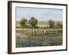 Field of Cattle I-Tim O'toole-Framed Art Print