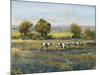 Field of Cattle I-Tim O'toole-Mounted Art Print