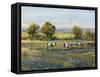 Field of Cattle I-Tim O'toole-Framed Stretched Canvas
