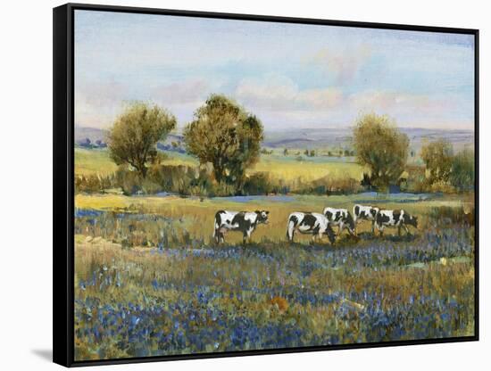 Field of Cattle I-Tim O'toole-Framed Stretched Canvas