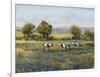 Field of Cattle I-Tim O'toole-Framed Art Print