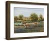 Field of Cattle II-Tim O'toole-Framed Art Print