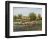 Field of Cattle II-Tim O'toole-Framed Art Print