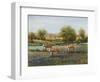 Field of Cattle II-Tim O'toole-Framed Art Print