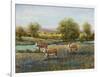 Field of Cattle II-Tim O'toole-Framed Art Print