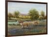 Field of Cattle II-Tim O'toole-Framed Art Print