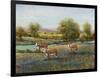 Field of Cattle II-Tim O'toole-Framed Art Print