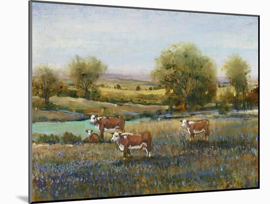 Field of Cattle II-Tim O'toole-Mounted Art Print