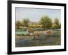 Field of Cattle II-Tim O'toole-Framed Art Print