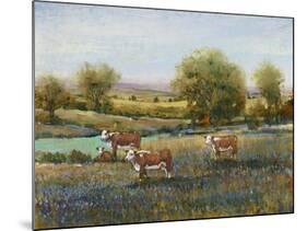 Field of Cattle II-Tim O'toole-Mounted Art Print