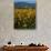 Field of Common Sunflowers, Abajo Mountains, Monticello, Utah, USA-Jerry & Marcy Monkman-Photographic Print displayed on a wall