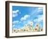 Field of Daisy Flowers against Blue Sky-Liang Zhang-Framed Photographic Print