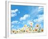 Field of Daisy Flowers against Blue Sky-Liang Zhang-Framed Photographic Print