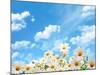 Field of Daisy Flowers against Blue Sky-Liang Zhang-Mounted Photographic Print