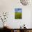 Field of Dandelions, Near Greta Valley, North Canterbury, South Island, New Zealand-David Wall-Photographic Print displayed on a wall