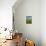 Field of Dandelions, Near Greta Valley, North Canterbury, South Island, New Zealand-David Wall-Photographic Print displayed on a wall