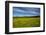 Field of Dandelions, Near Greta Valley, North Canterbury, South Island, New Zealand-David Wall-Framed Photographic Print