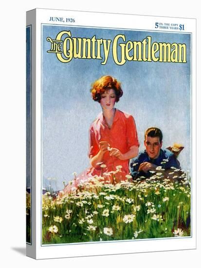 "Field of Dreams," Country Gentleman Cover, June 1, 1926-McClelland Barclay-Stretched Canvas