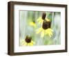 Field Of Dreams One-George Oze-Framed Photographic Print