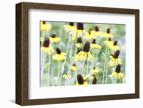 Field Of Dreams Two-George Oze-Framed Photographic Print