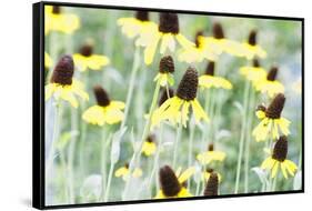 Field Of Dreams Two-George Oze-Framed Stretched Canvas