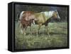 Field of Dreams-Jack Sorenson-Framed Stretched Canvas