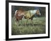 Field of Dreams-Jack Sorenson-Framed Art Print