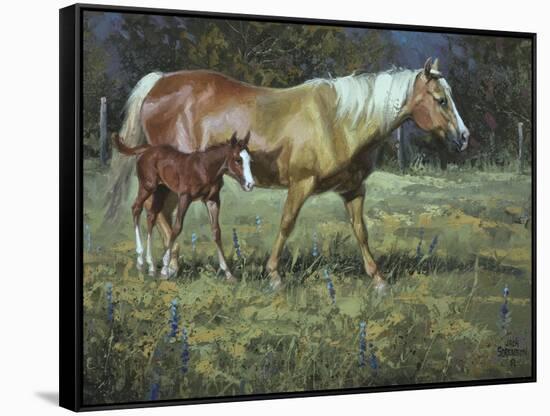 Field of Dreams-Jack Sorenson-Framed Stretched Canvas