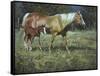 Field of Dreams-Jack Sorenson-Framed Stretched Canvas