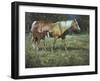 Field of Dreams-Jack Sorenson-Framed Art Print