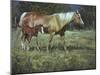 Field of Dreams-Jack Sorenson-Mounted Art Print