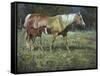 Field of Dreams-Jack Sorenson-Framed Stretched Canvas