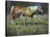 Field of Dreams-Jack Sorenson-Stretched Canvas