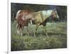 Field of Dreams-Jack Sorenson-Framed Art Print