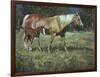 Field of Dreams-Jack Sorenson-Framed Art Print