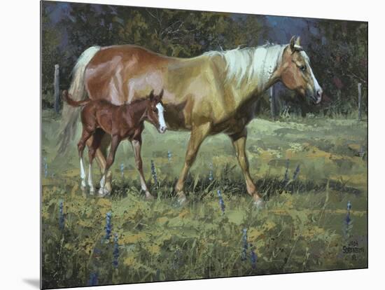 Field of Dreams-Jack Sorenson-Mounted Art Print