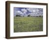 Field of Flowers and Clouds, Hill Country, Texas, USA-Adam Jones-Framed Photographic Print