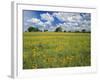 Field of Flowers and Trees with Cloudy Sky, Texas Hill Country, Texas, USA-Adam Jones-Framed Photographic Print