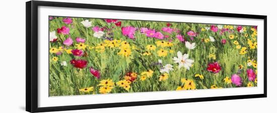 Field of Flowers (detail)-Silvia Mei-Framed Art Print