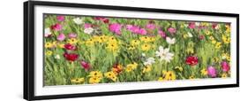 Field of Flowers (detail)-Silvia Mei-Framed Art Print