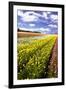 Field of Flowers I-Alan Hausenflock-Framed Photographic Print