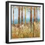 Field of Flowers II-Sloane Addison  -Framed Art Print