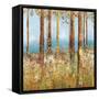 Field of Flowers II-Sloane Addison  -Framed Stretched Canvas