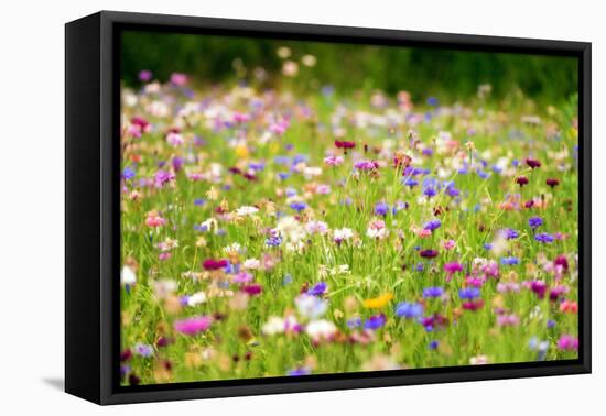 Field of Flowers in Paintography-Philippe Sainte-Laudy-Framed Stretched Canvas