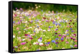 Field of Flowers in Paintography-Philippe Sainte-Laudy-Framed Stretched Canvas