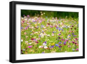 Field of Flowers in Paintography-Philippe Sainte-Laudy-Framed Photographic Print